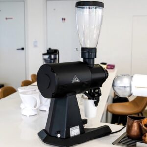 mahlkonig ek43s 2